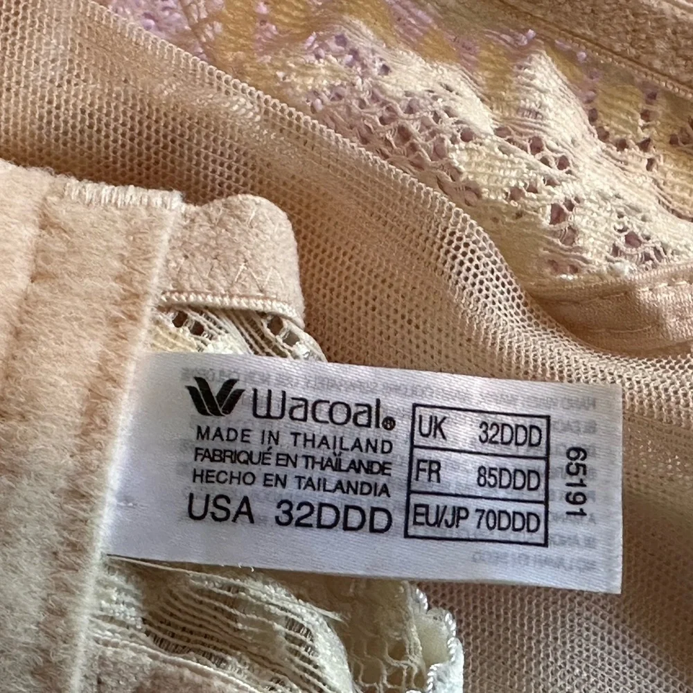 Wacoal Cream Lace Underwire Bra with Scalloped Edges - Picture 8 of 10